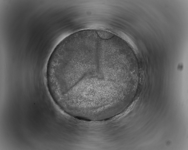 X0000102341087200808291132