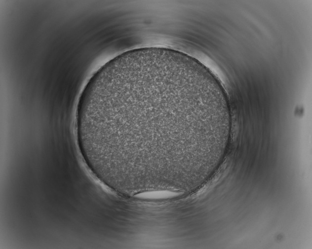 X0000102341088200808291132