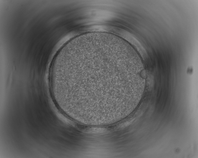X0000102341090200808291132