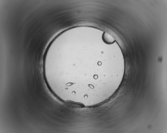 X0000102341092200808291132