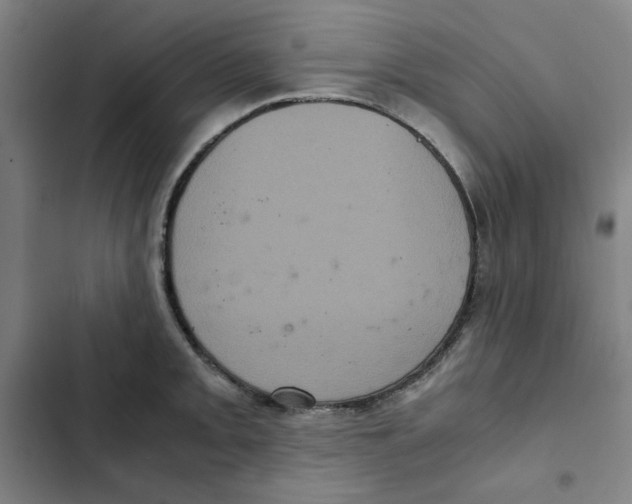 X0000102341093200808291132