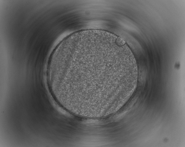 X0000102341094200808291132