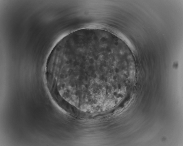 X0000102341095200808291132