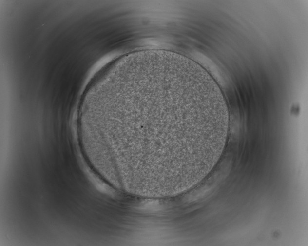 X0000102341098200808291132