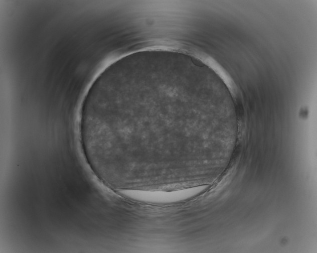 X0000102341099200808291131