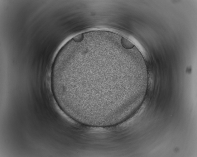 X0000102341100200808291131