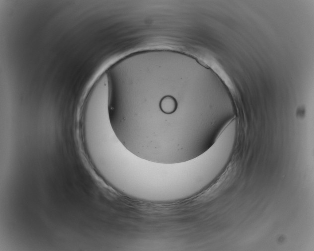 X0000102341101200808291131