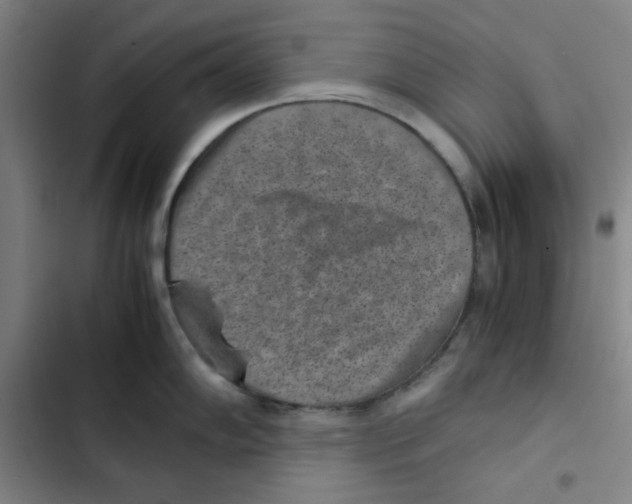 X0000102341102200808291131