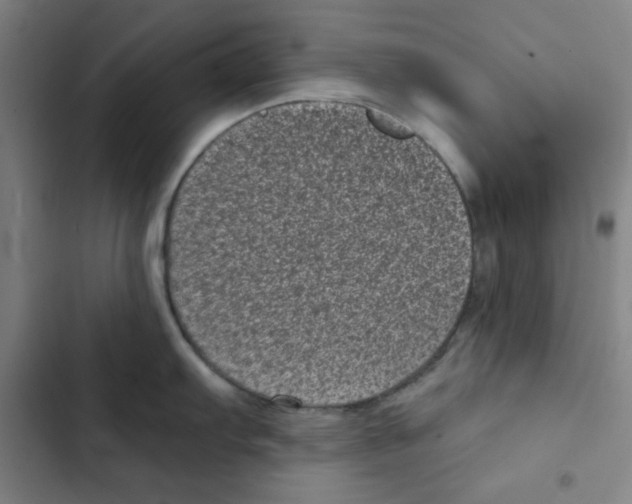 X0000102341103200808291131