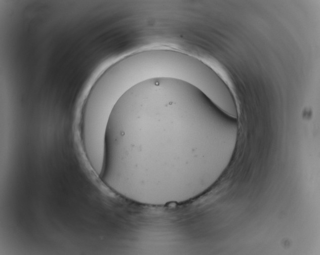 X0000102341104200808291131
