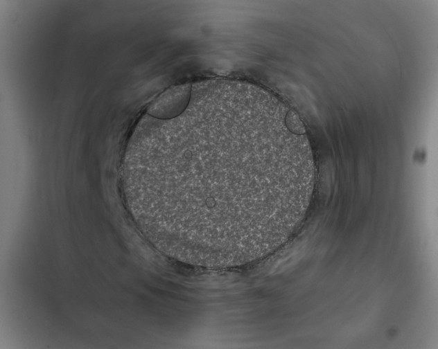 X0000102341105200808291131