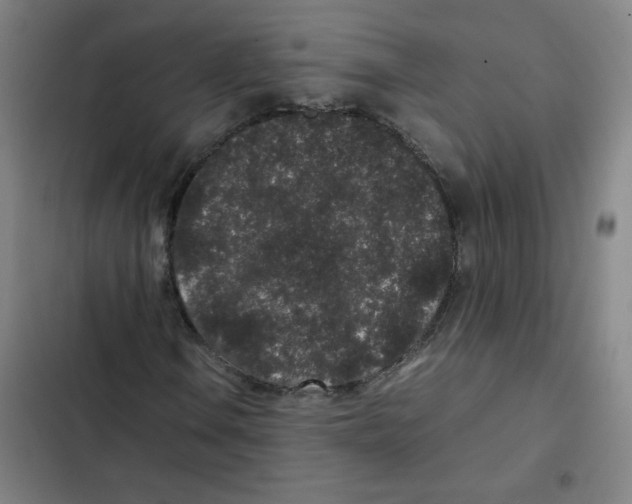 X0000102341106200808291131