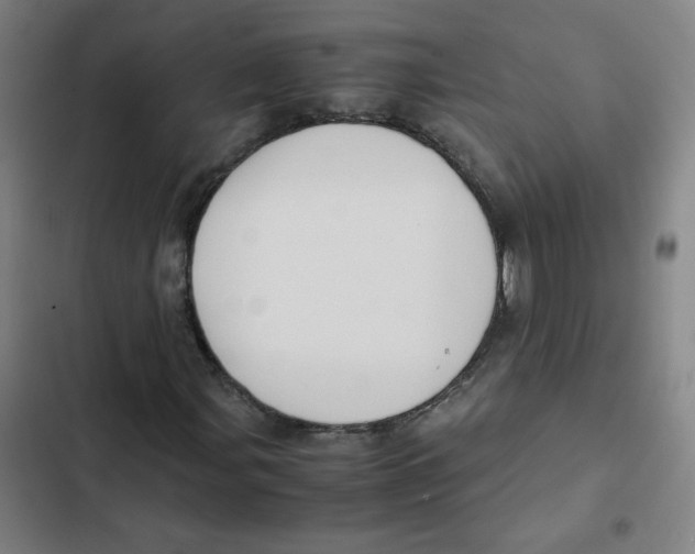X0000102341107200808291131