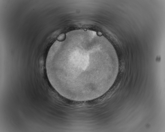 X0000102341108200808291131