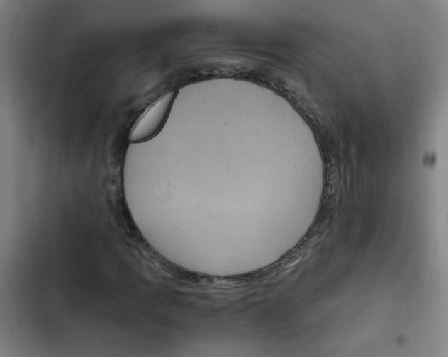 X0000102341109200808291131