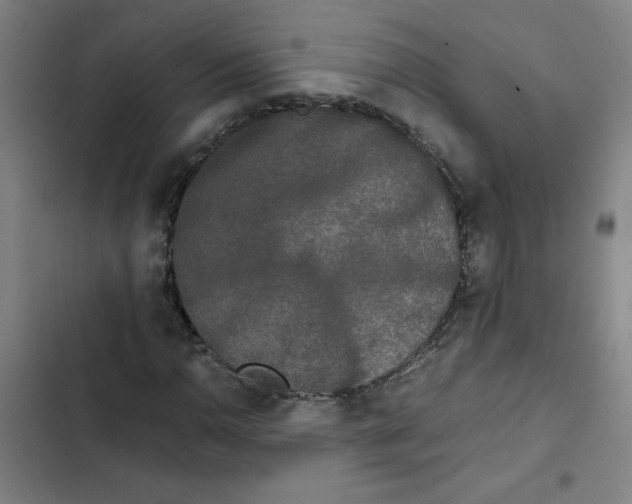 X0000102341110200808291131