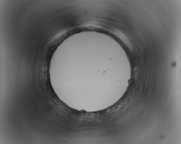 X0000102341111200808291131