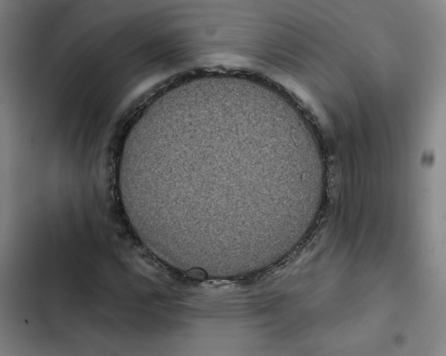 X0000102341112200808291131
