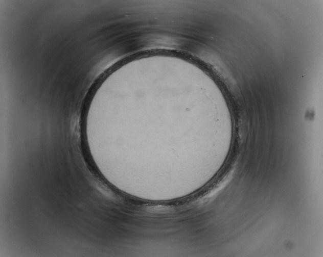 X0000102341113200808291131