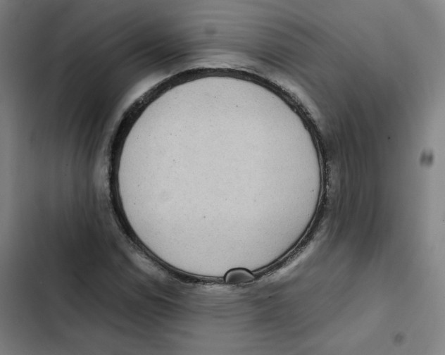 X0000102341114200808291131