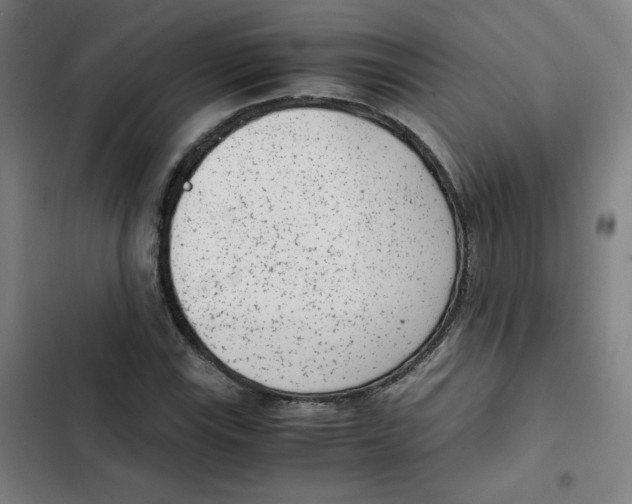 X0000102341115200808291131