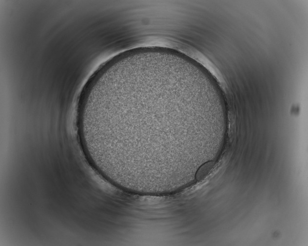 X0000102341116200808291131