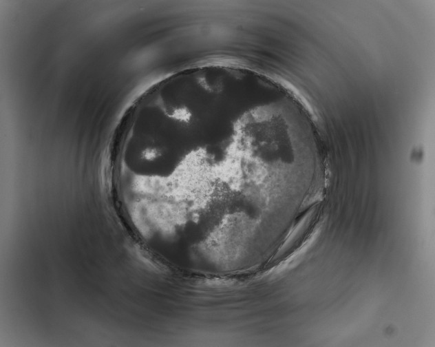 X0000102341117200808291131