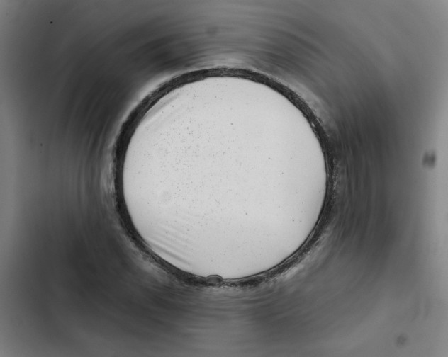 X0000102341118200808291131