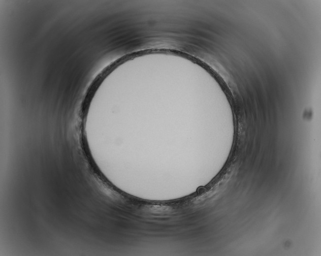 X0000102341119200808291131