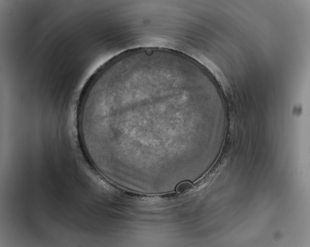 X0000102341120200808291131