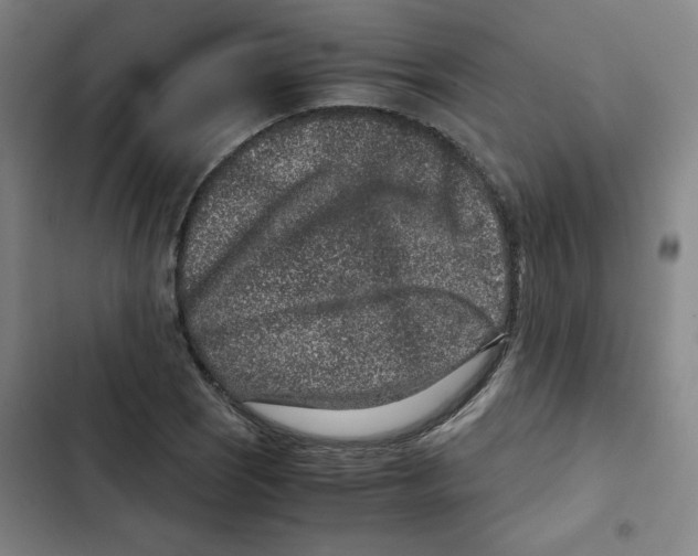 X0000102341121200808291131