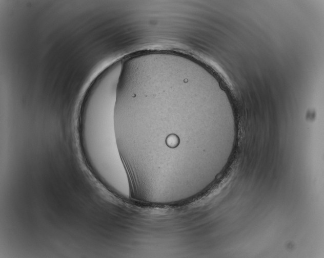 X0000102341122200808291131