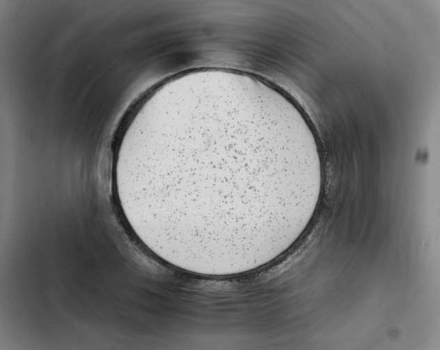 X0000102341123200808291131