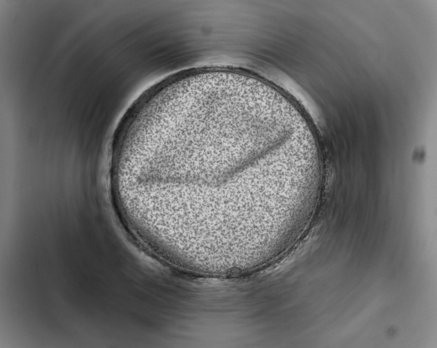 X0000102341124200808291131