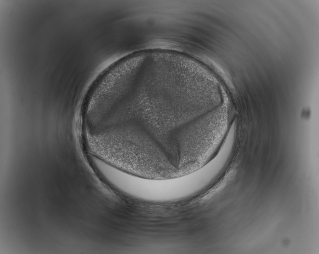 X0000102341125200808291131