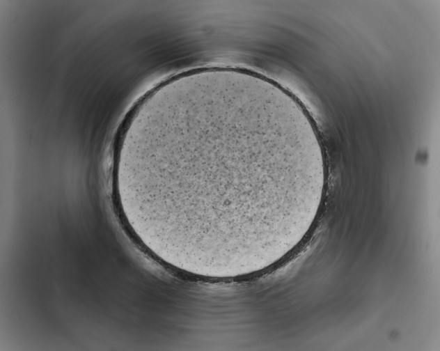 X0000102341126200808291131