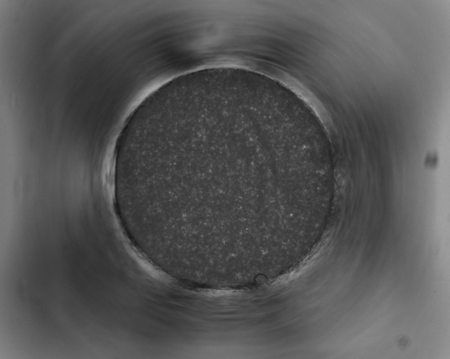 X0000102341127200808291131