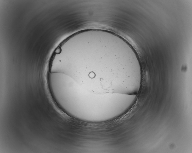 X0000102341128200808291131