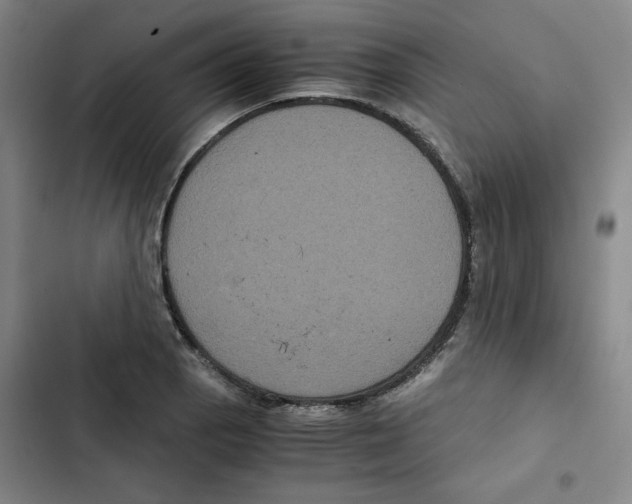 X0000102341129200808291131