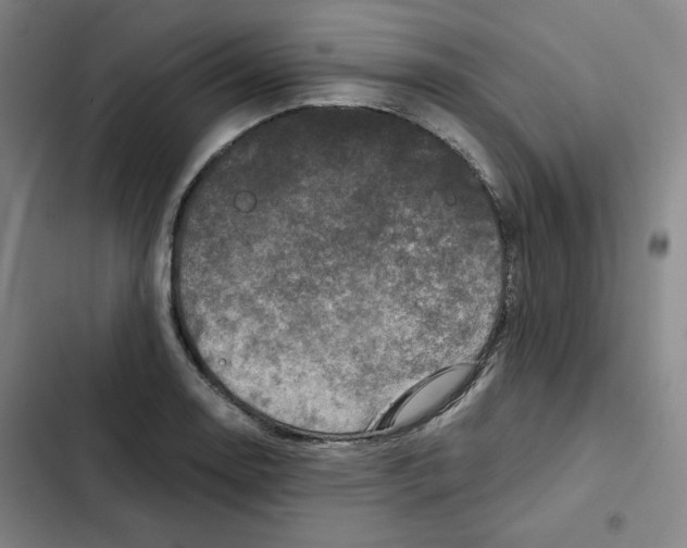 X0000102341130200808291131