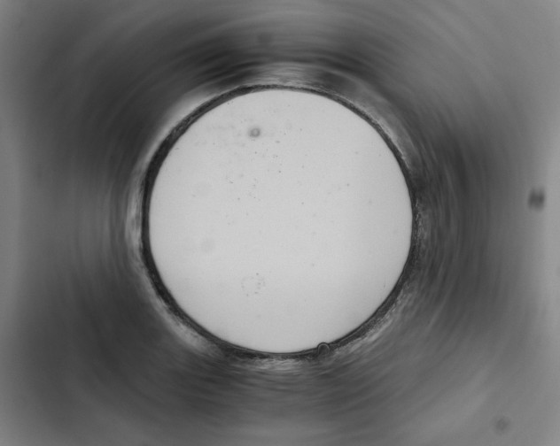X0000102341131200808291131