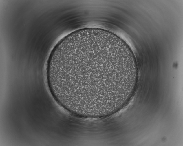 X0000102341133200808291131