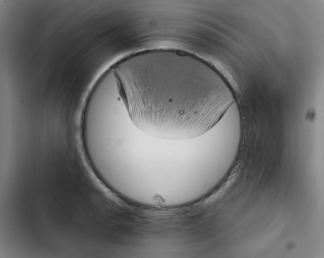 X0000102341134200808291131