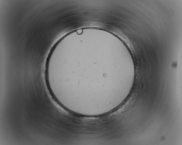 X0000102341135200808291131