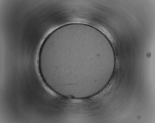 X0000102341136200808291131