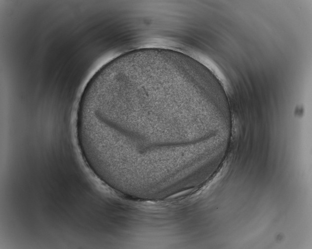 X0000102341138200808291131