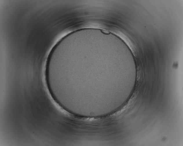 X0000102341139200808291131