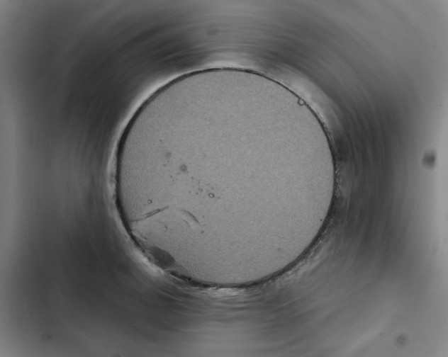 X0000102341140200808291131