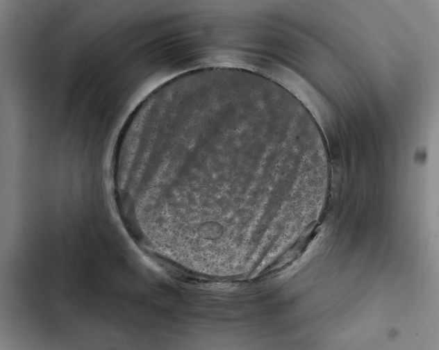 X0000102341141200808291131