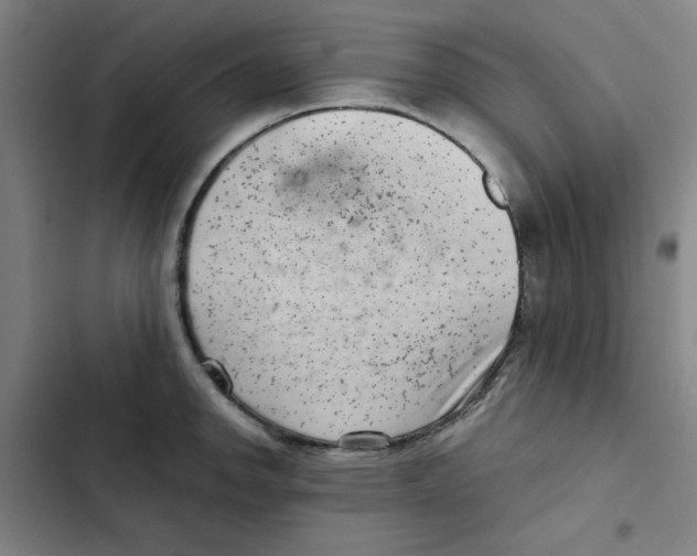 X0000102341142200808291131